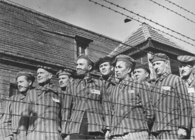Какими привилегиями обладали пленные европейцы в немецких лагерях - Русская семерка