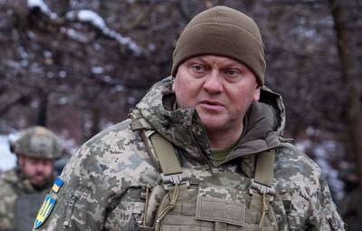 Главком ВСУ оценил готовность Украины к вступлению в НАТО