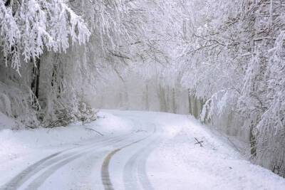 19 января в Смоленскую область придут снег и похолодание