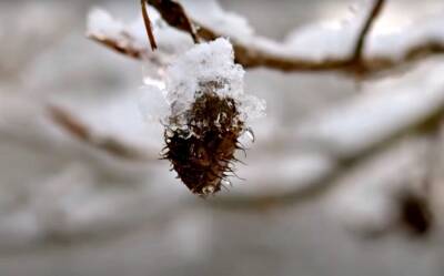 Зима покажет свою силу: на Крещение 19 января в Украину ворвутся лютые морозы – прогноз Диденко