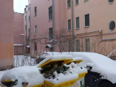 Вишневский посоветовал петербургским чиновникам тратить силы на уборку города, а не на «пиар» Шнурова, спевшего о мусорном коллапсе