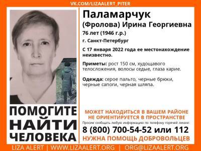 76-летнюю женщину почти сутки не могут найти в Петербурге