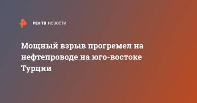 Мощный взрыв прогремел на нефтепроводе на юго-востоке Турции - ren.tv - Турция - Кахраманмараш