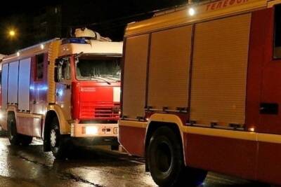 Ночной пожар в Ершичском районе начался со стены дома
