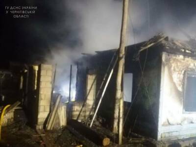 В Черниговской области в результате пожара погибли четыре человека, трое из них дети – ГСЧС - gordonua.com - Украина - Черниговская обл.