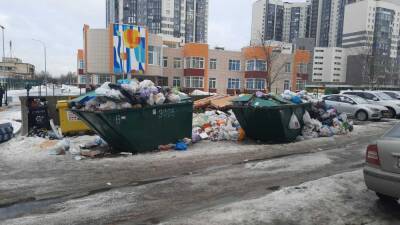 В Заксобрании Петербурга раскритиковали старт мусорной реформы