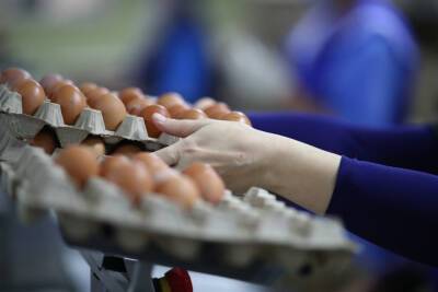 Ежедневное употребление яиц укрепляет здоровье