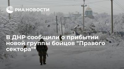 Народная милиция ДНР сообщила о прибытии новой группы бойцов "Правого сектора" в Донбасс