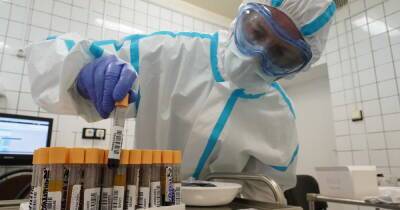 Эксперт "оправдал" заразивших людей коронавирусом хомяков в Гонконге