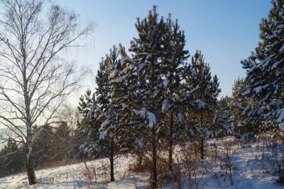 Похолодание до -12 градусов ожидают синоптики в Красноярске в среду
