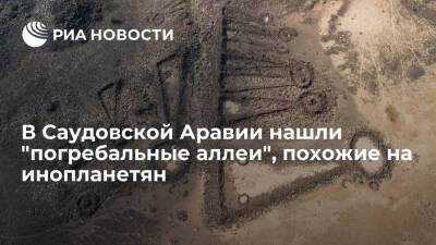 В Саудовской Аравии нашли древние "погребальные аллеи", похожие на "инопланетные" круги