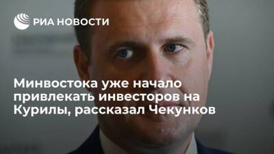 Министр Чекунков: Минвостокразвития уже начало привлекать инвесторов на Курилы