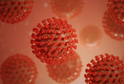 Ученые нашли гены потери обоняния при заражении коронавирусом