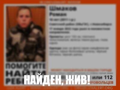В Новосибирске прекратили поиски пропавшего в Советском районе 10-летнего мальчика