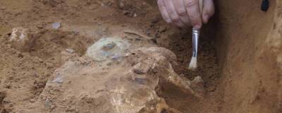 На севере Италии найдены останки лангобарда с ампутированной рукой
