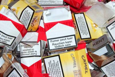 В Смоленской области полицейские нашли партию нелегальных сигарет