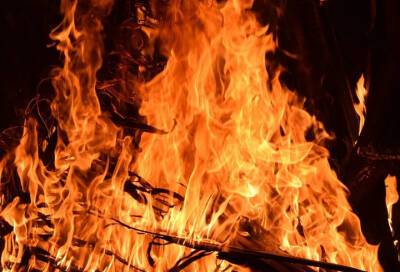 При пожаре в частном доме в Зеленогорске сгорел человек