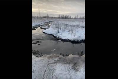 Общественники нашли место незаконного слива фекалий под Новосибирском