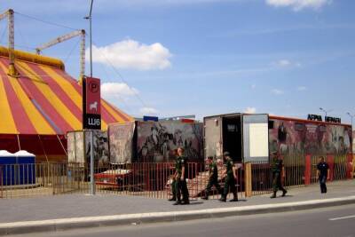 Владимирские передвижные цирки получили миллионные штрафы