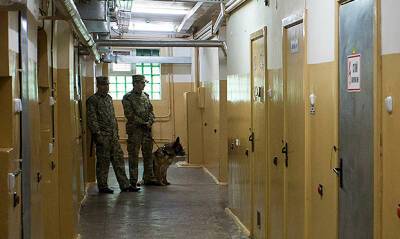 В белорусских тюрьмах отбывают сроки 346 россиян. Еще 109 человек находятся под следствием