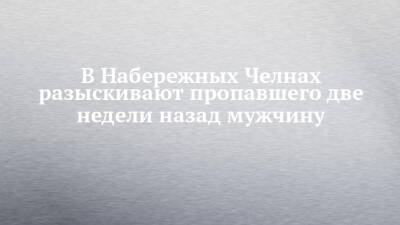 В Набережных Челнах разыскивают пропавшего две недели назад мужчину - chelny-izvest.ru - респ. Татарстан - Набережные Челны - район Елабужский