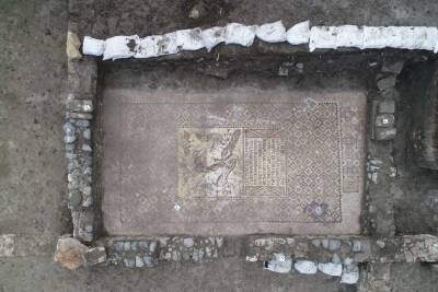 В Турции фермер обнаружил мозаичный пол VI века (Фото)
