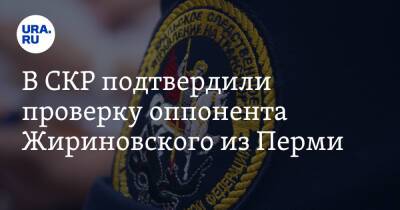 В СКР подтвердили проверку оппонента Жириновского из Перми