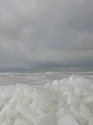 Из-за ледяных торосов в Таганрогском заливе погибла рыба