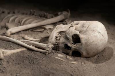 Скелет неизвестного рядом со шприцом и молотком нашли в Ленобласти