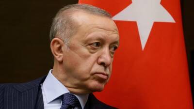 Эрдоган предостерег Россию от вторжения в Украину