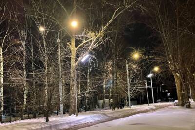 Депутаты гордумы выбрали новые светильники для улиц Рязани