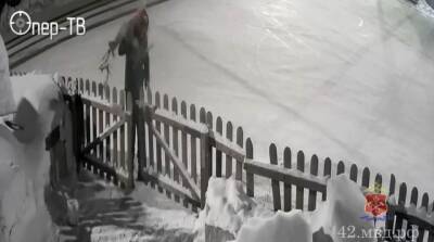 Кузбассовец похитил оленя с территории похоронного бюро: происшествие попало на видео