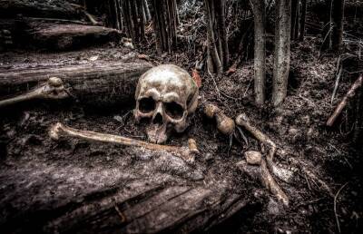 Скелет мужчины нашли в доме в Любани. Рядом лежали нож, молоток и шприц