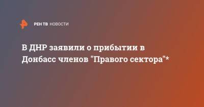 В ДНР заявили о прибытии в Донбасс членов "Правого сектора"*