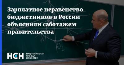 Зарплатное неравенство бюджетников в России объяснили саботажем правительства