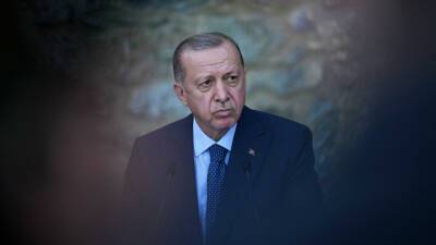 Эрдоган пригласил Путина и Зеленского в Турцию «уладить разногласия»