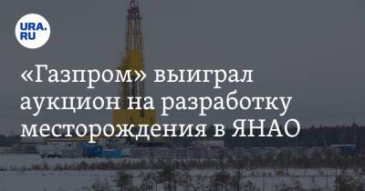 «Газпром» выиграл аукцион на разработку месторождения в ЯНАО