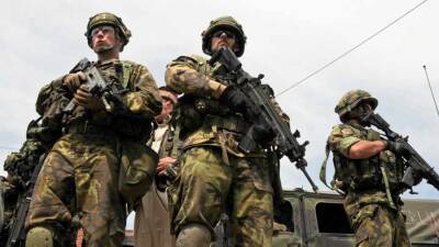 Вооруженные силы Чехии примут участие в учениях НАТО на границе Союзного государства