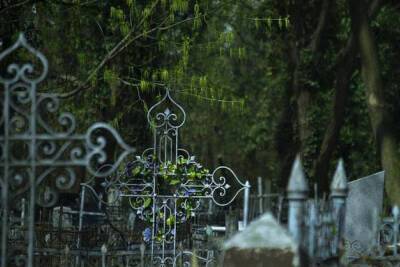 В Краснодаре начнут расчистку территорий Всесвятского кладбища