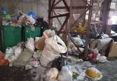 Как петербуржцу вернуть деньги за невывезенный из двора мусор - neva.today - Россия - Санкт-Петербург