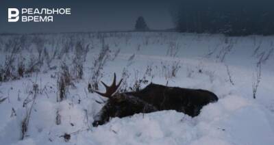 В Татарстане браконьеров поймали при разделывании туши лося