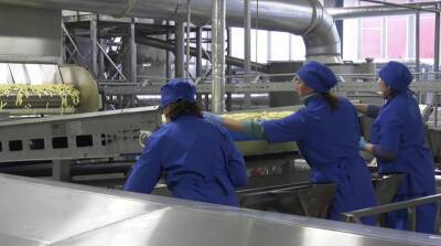 В новом цеху Толочинского консервного завода производят 2 т картофеля фри в час