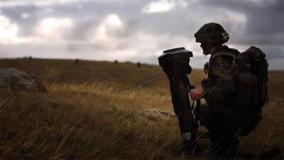 Британцы поставили очередную партию оружия на Украину
