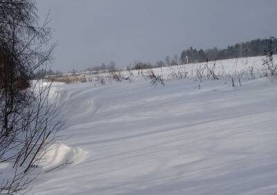 Трое суток отрезаны от мира. Жители деревень под Смоленском попали в «снежную блокаду»