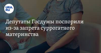 Депутаты Госдумы поспорили из-за запрета суррогатного материнства