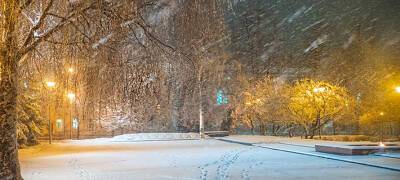 В Карелии 20 января будет тепло, пройдет мокрый снег