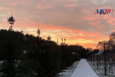 20 января в Рязанской области ожидается небольшой снег и до -11 градусов