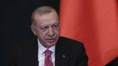 Эрдоган намерен предложить Путину исключить сценарий войны в Украине