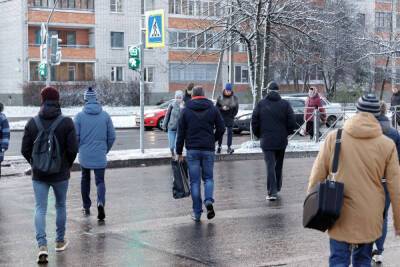 Плюсовую температуру прогнозируют в Псковской области 20 января