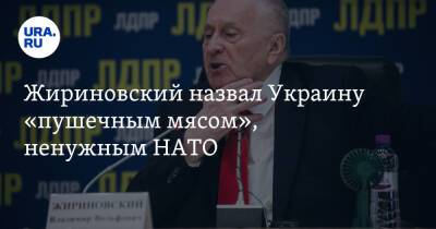 Жириновский назвал Украину «пушечным мясом», ненужным НАТО
